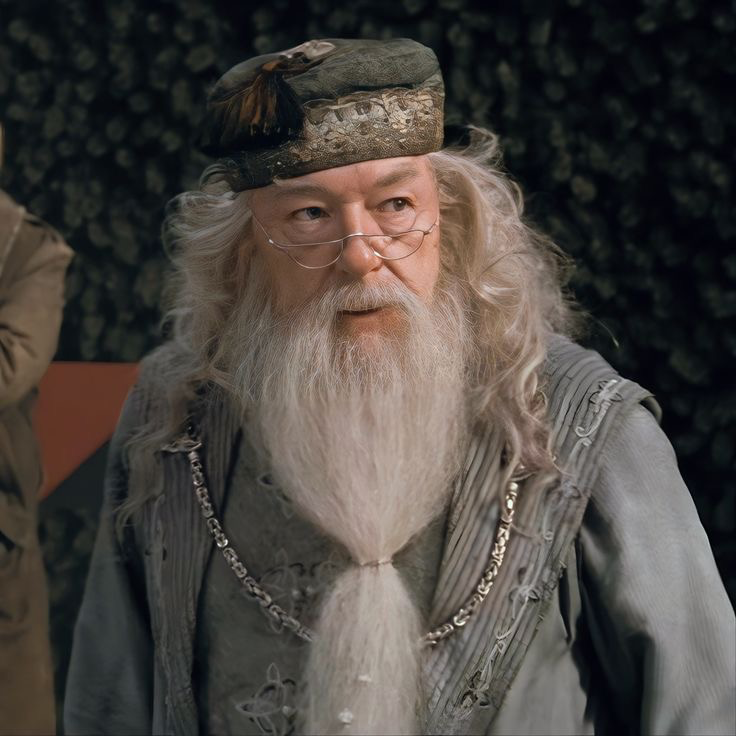 Albus Dumbledore 