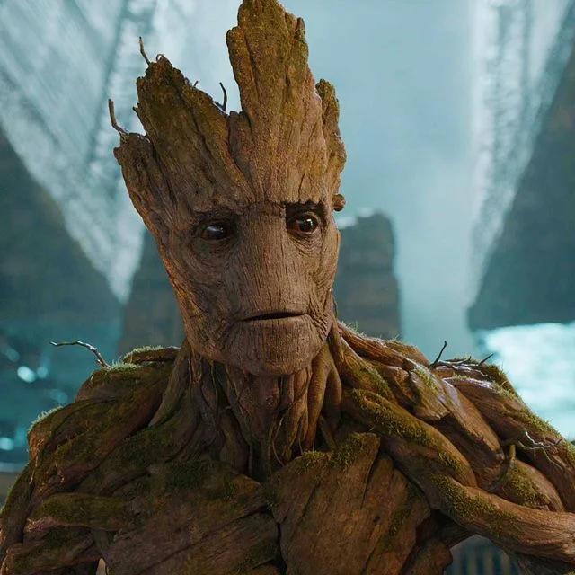 Groot