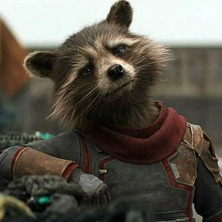 Rocket