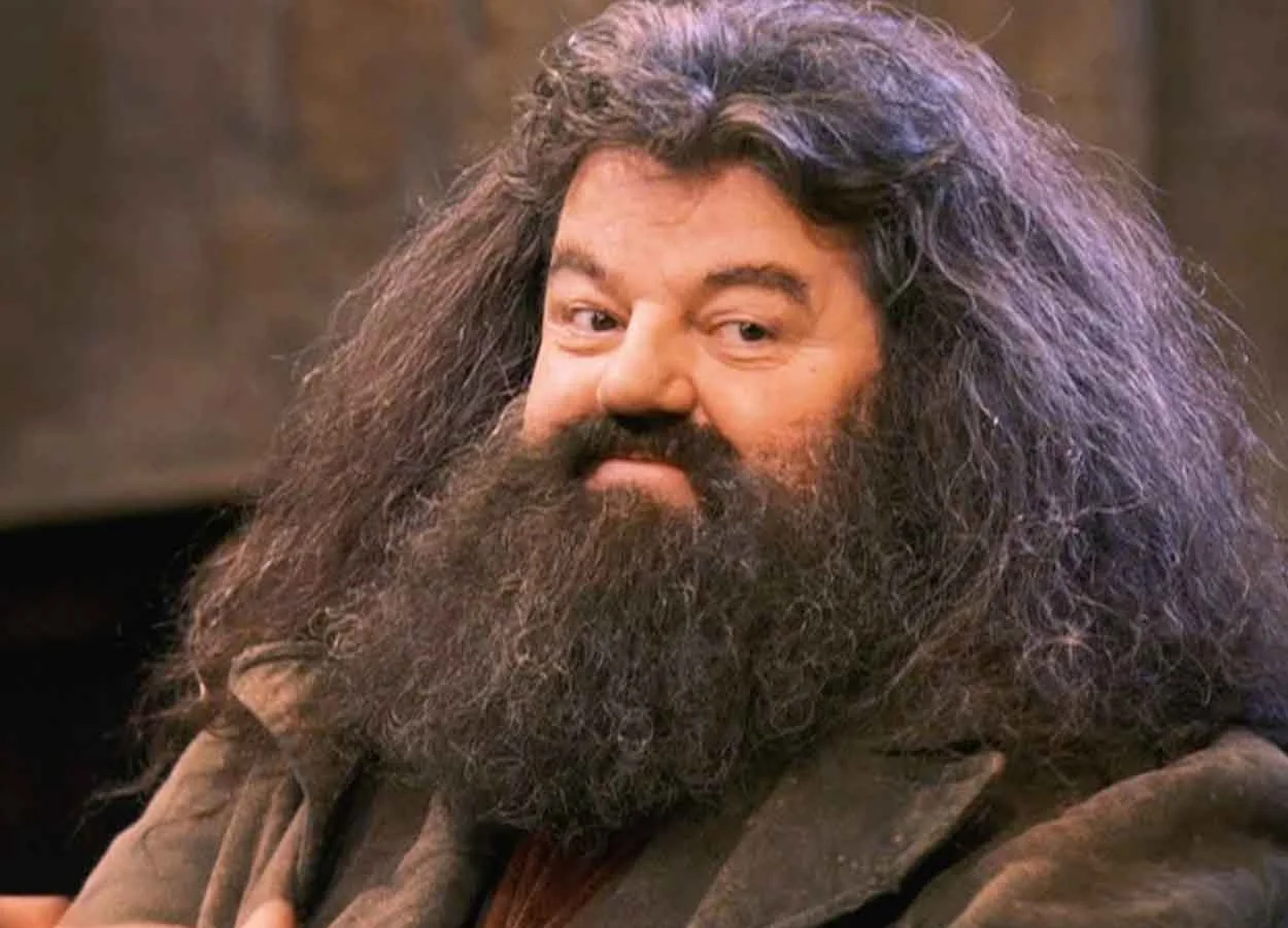 Rubeus Hagrid