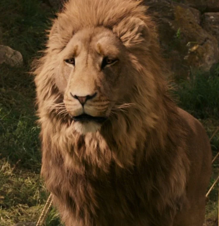Aslan