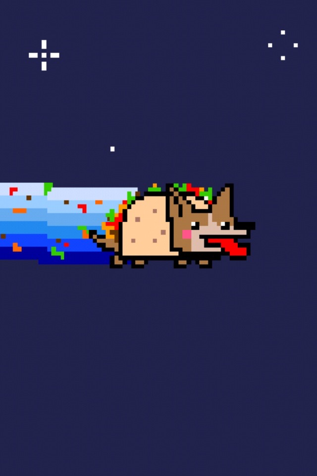 Taco Dog