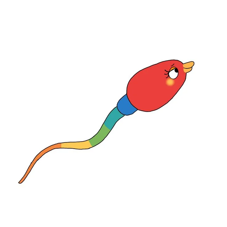Poppy Partridge 