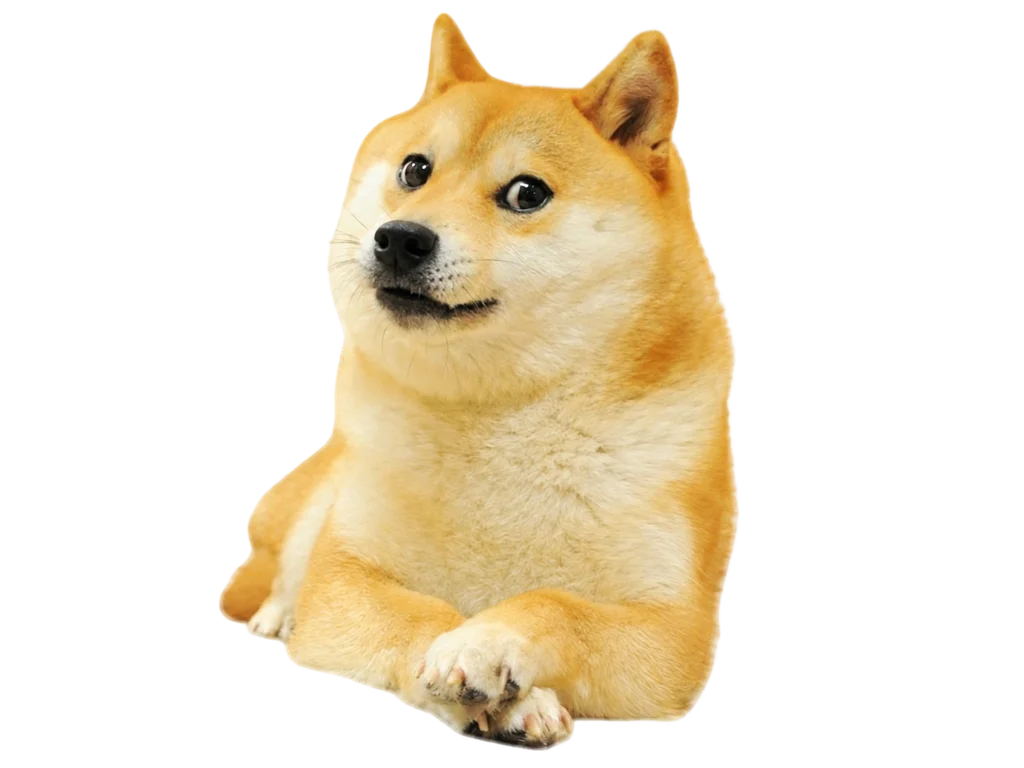Doge (Kabosu)