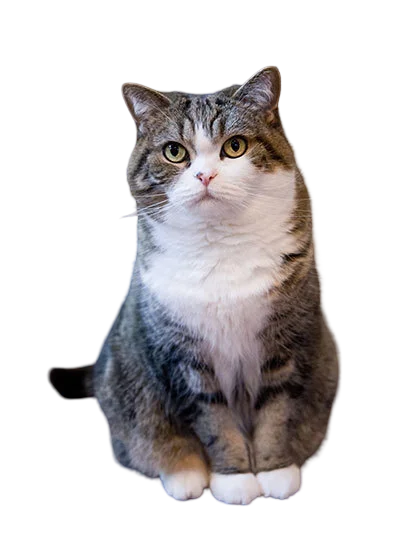 Maru